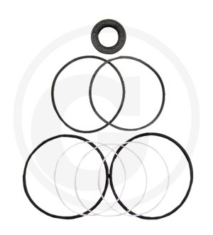 Zestaw uszczelek 1493867M91