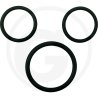 Zestaw uszczelek 86011