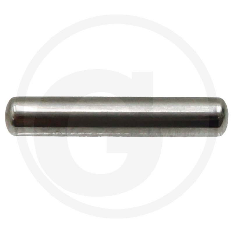 Igiełka łożyskowa 44M6629, R53218