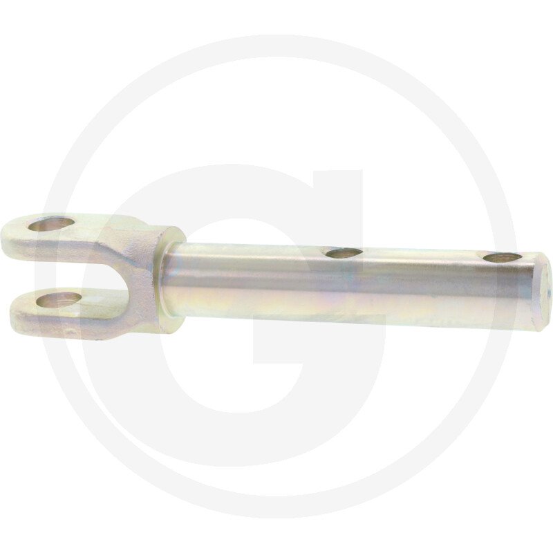 Fragment widelca L175356