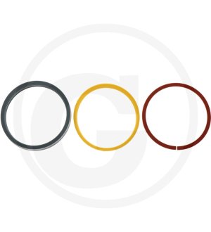 Dichtsatz 04417821.4