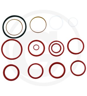 Zestaw uszczelek F117961022010, 1527010409