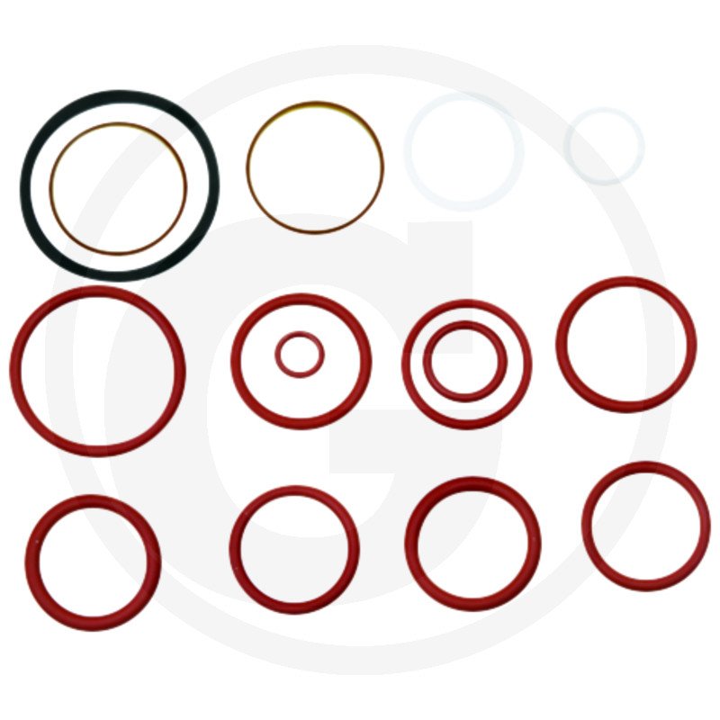 Zestaw uszczelek F117961022010, 1527010409