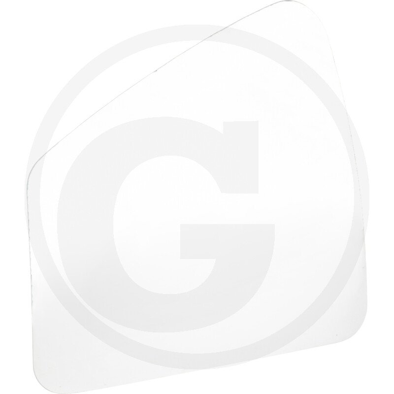 SG 1009 ZS R300 RE BS SF 401009422002