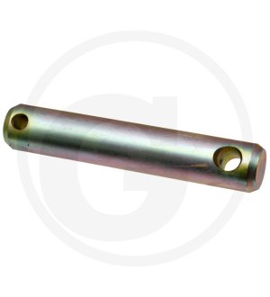 Sworzeń 198870050010