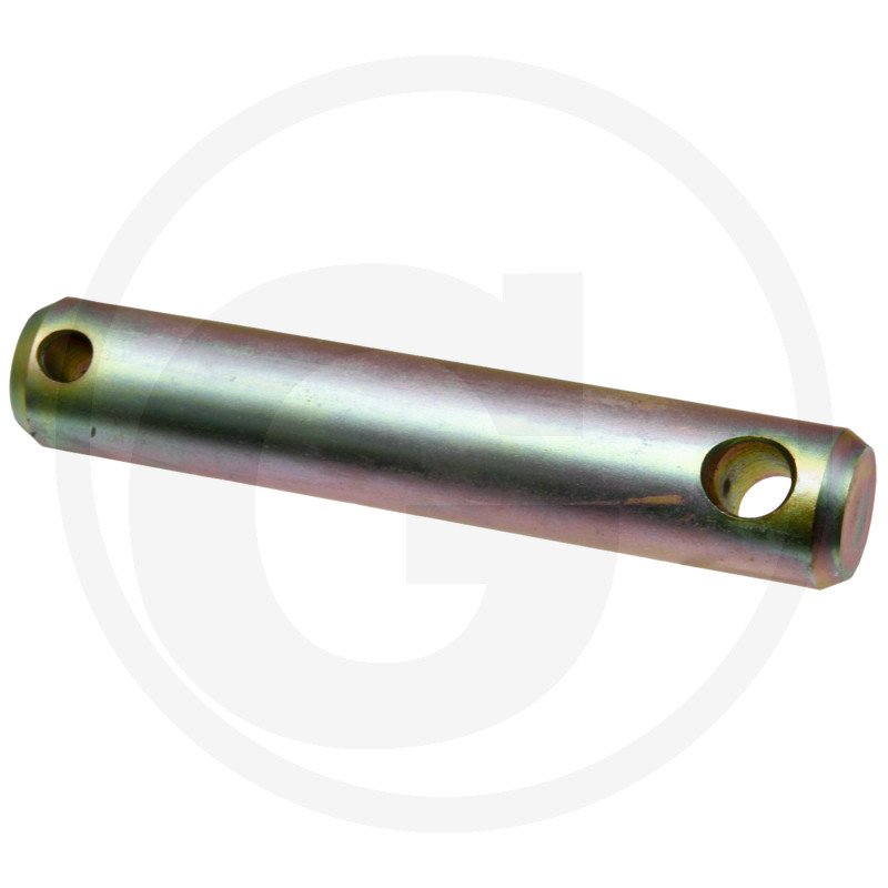 Sworzeń 198870050010