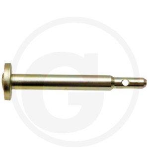 Sworzeń H380922070030