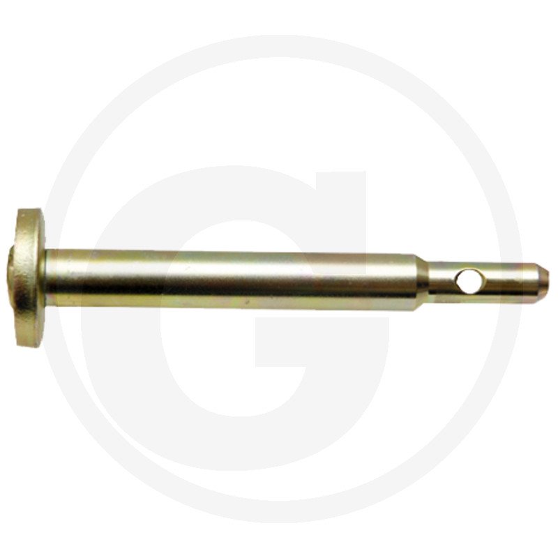 Sworzeń H380922070030