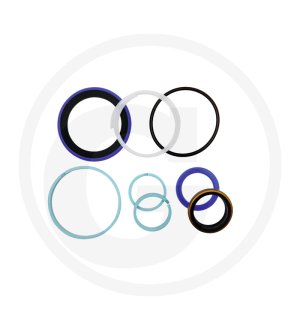 Zestaw uszczelek G001990010120