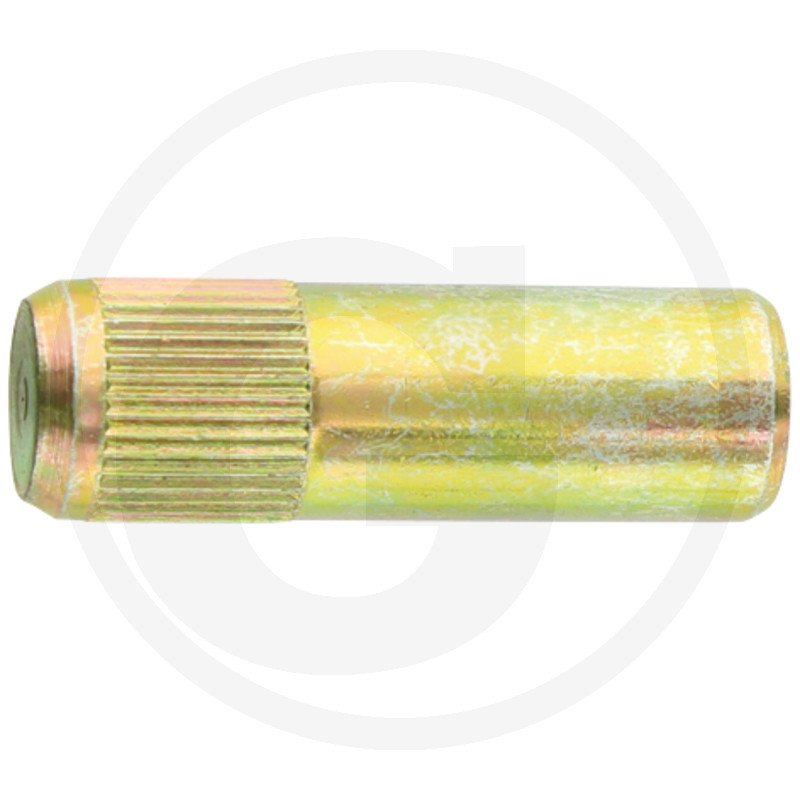 Kołek zawiasu 816810030090