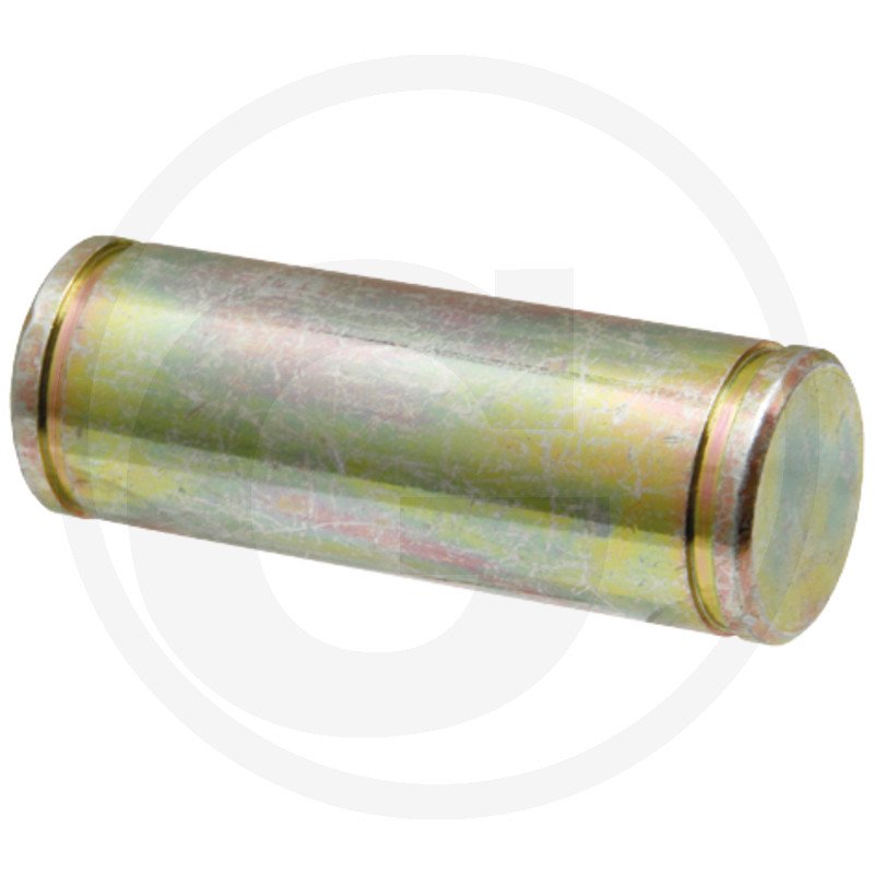 Sworzeń 205860030011