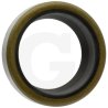 Pierścień uszczelniający siłownika 1749616M1