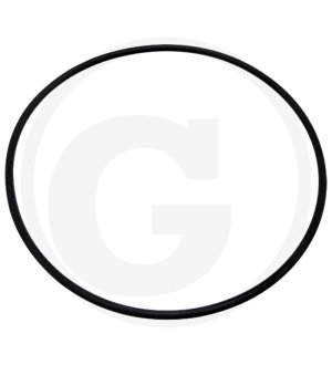 Oring 3057615R1, I3057615R1