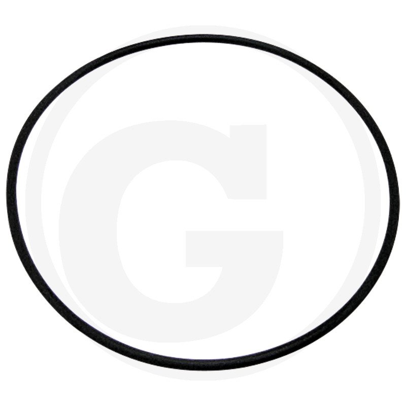 Oring 3057615R1, I3057615R1