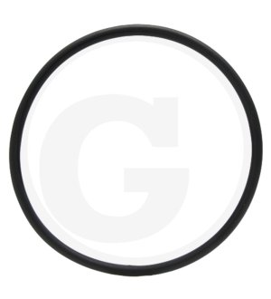 Oring 302910A1, I302910A1