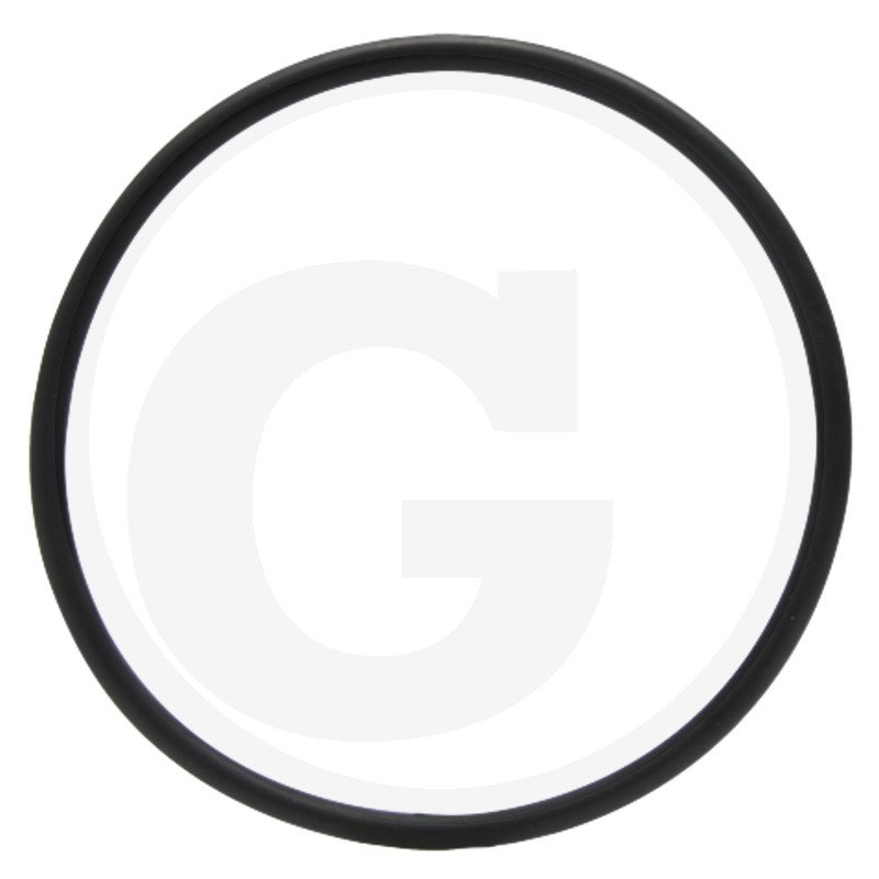 Oring 302910A1, I302910A1