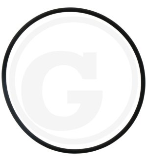 Pierścień uszczelniający 01161643