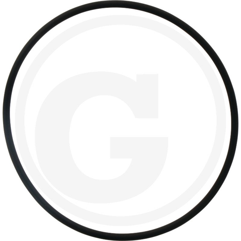 Pierścień uszczelniający 01161643