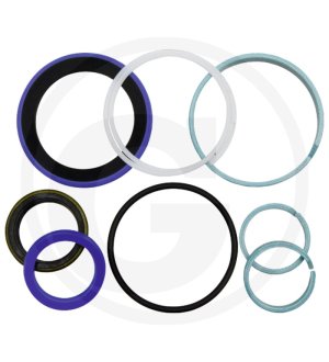 Zestaw uszczelek G001990010580