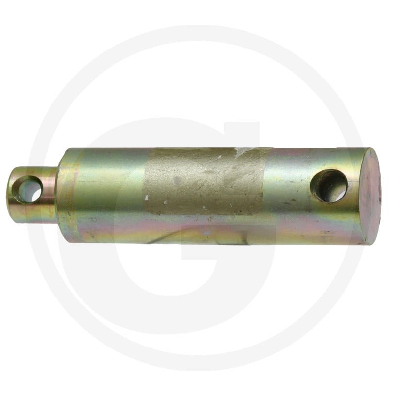 Sworzeń 199870040020