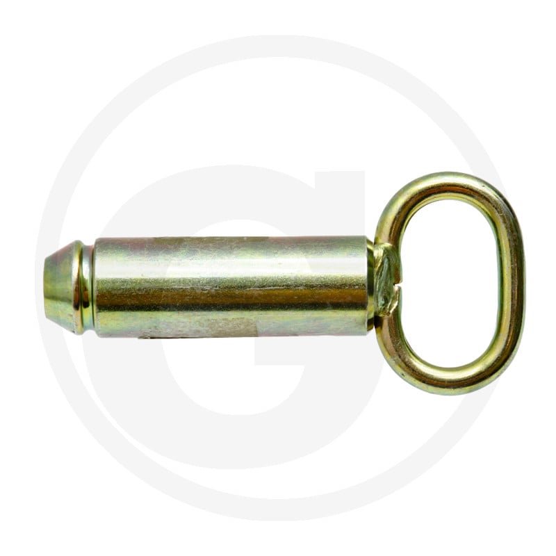 Sworzeń H930870040070