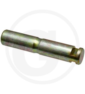 Sworzeń 718870030050