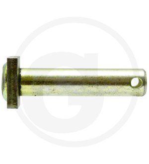 Sworzeń H199870030010