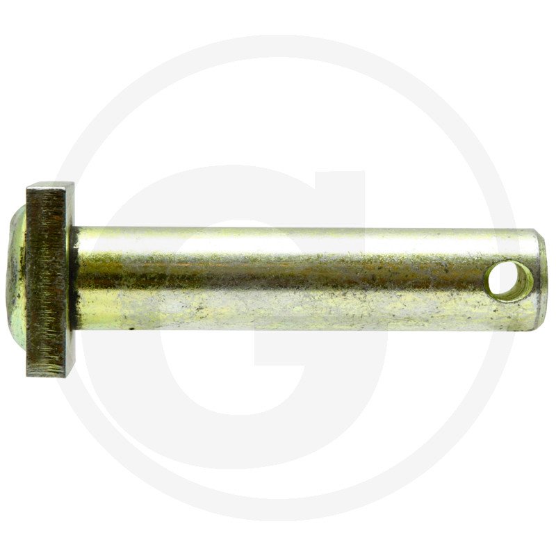 Sworzeń H199870030010