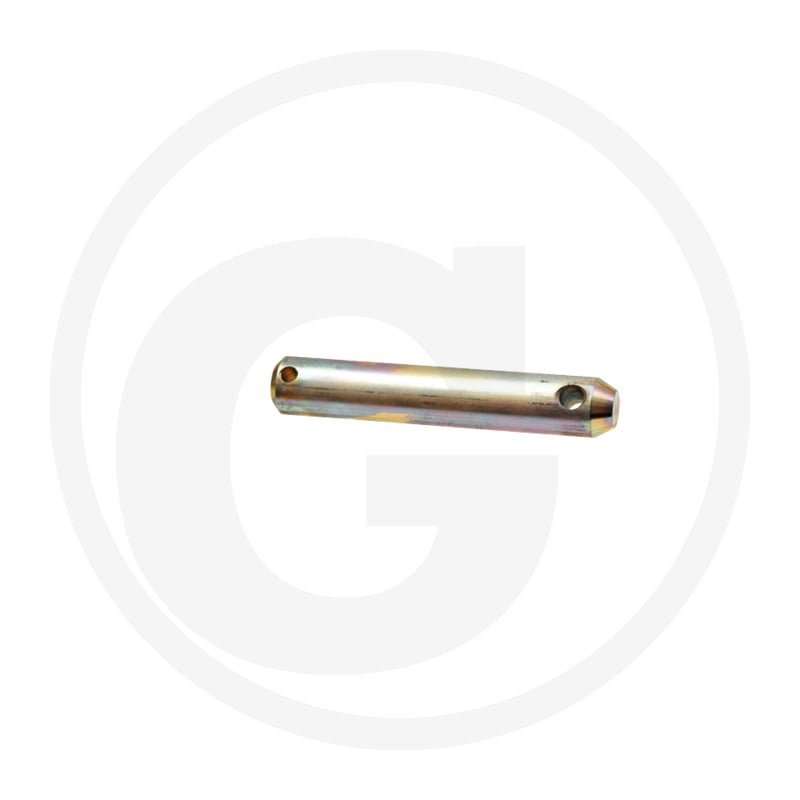 Sworzeń 186921070010