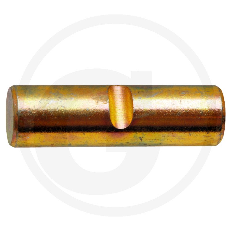 Sworzeń F930870030040