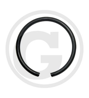 Pierścień rozprężny 1168637