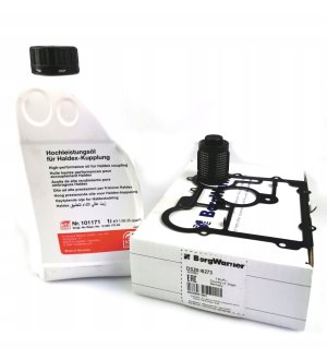 Filtr oleju mechanizmu różnicowego BORG WARNER BW2006273