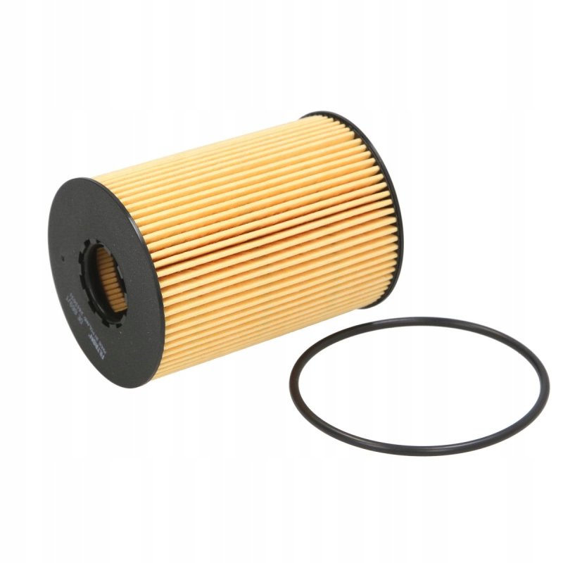 Filtr oleju FILTRON OE 669/1