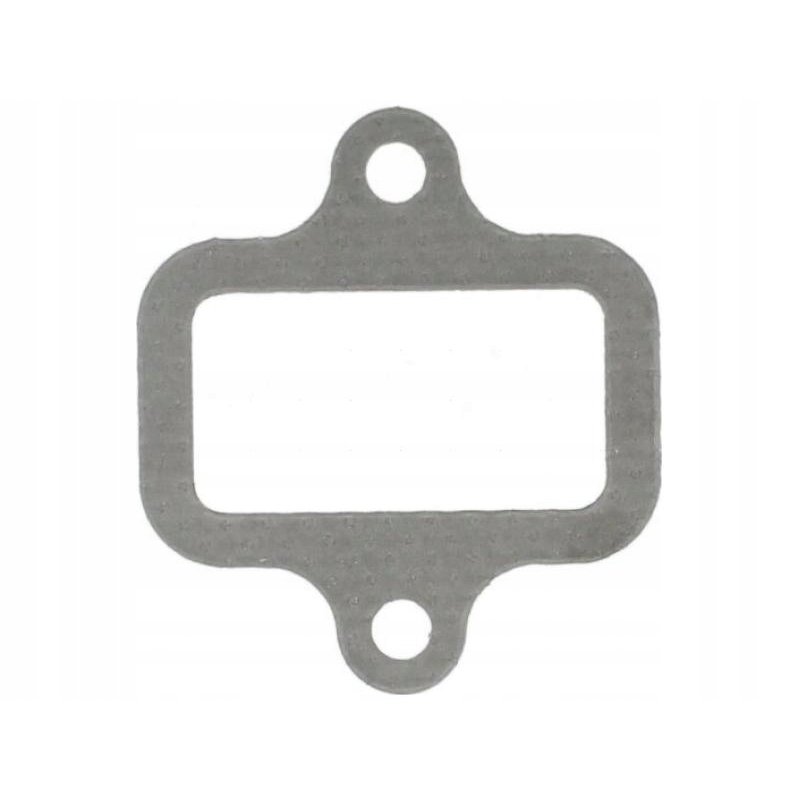 Uszczelka kolektora ssącego REINZ 71-24905-20