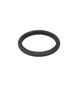 Uszczelka termostatu REINZ 70-27837-00