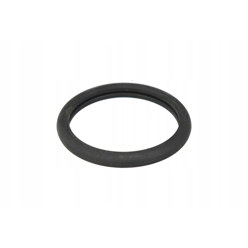 Uszczelka termostatu REINZ 70-27837-00