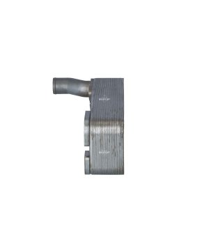 Chłodnica oleju NRF NRF 31230