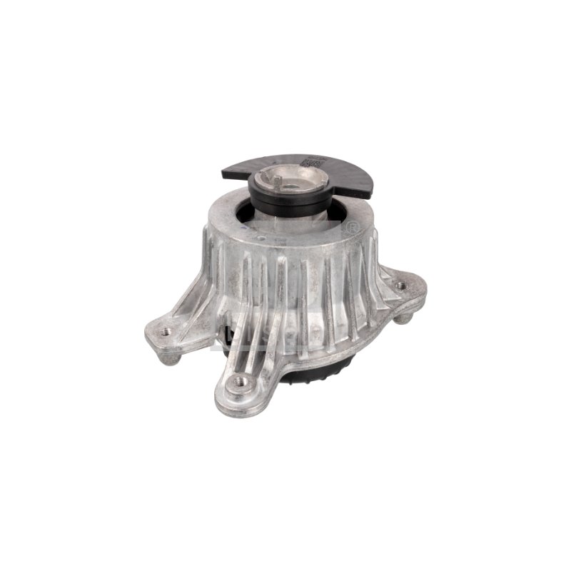 Poduszka silnika FEBI BILSTEIN FE109379