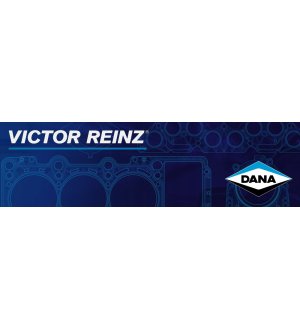 Uszczelniacz trzonka zaworu REINZ 70-54169-00