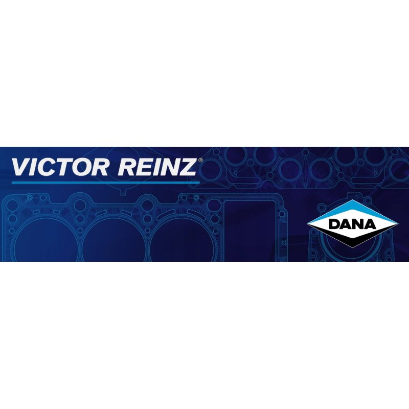 Elementy wtryskiwacza REINZ 40-70631-00