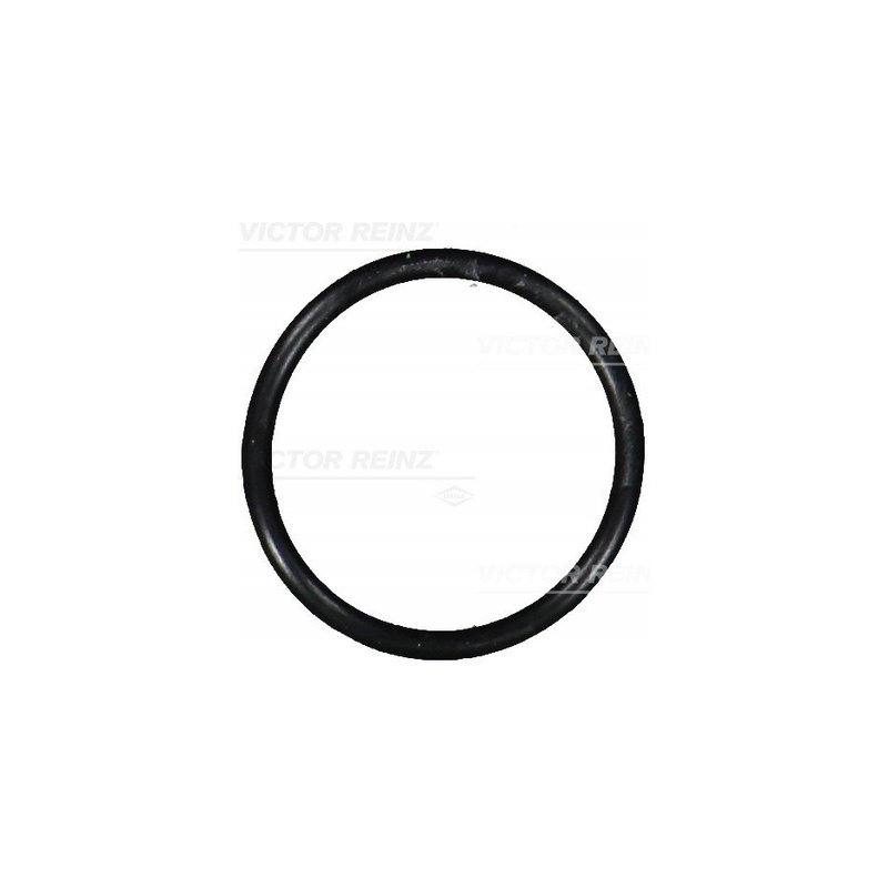 Elementy wtryskiwacza CR REINZ 40-76101-00