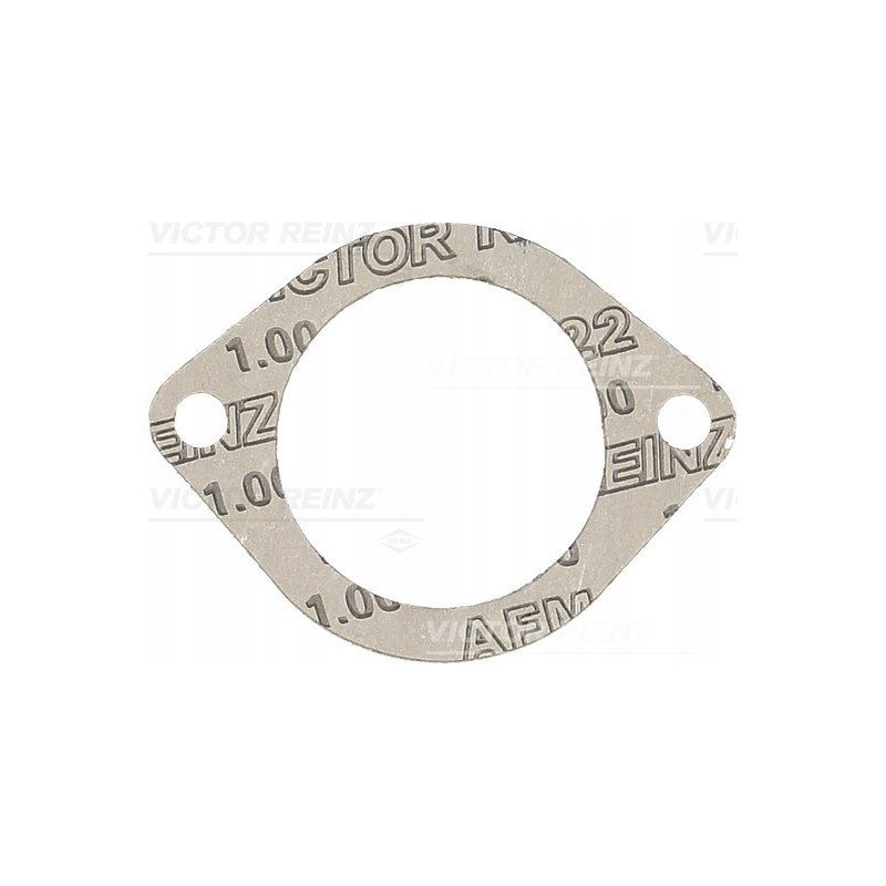 Uszczelka obudowy kolektora ssącego REINZ 71-38304-00