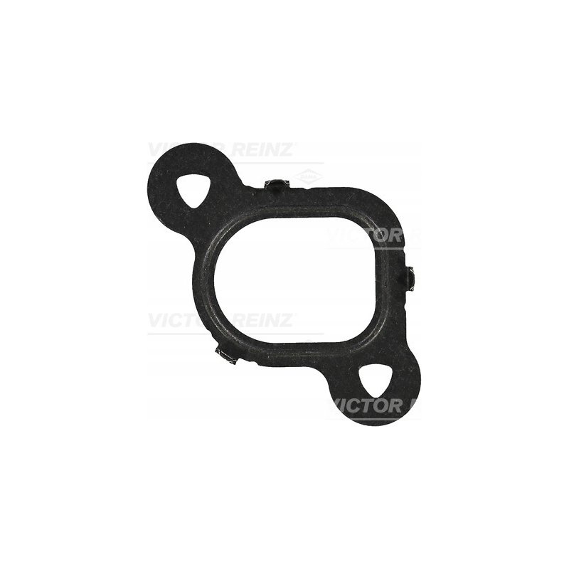 Uszczelka kolektora ssącego REINZ 71-37536-00