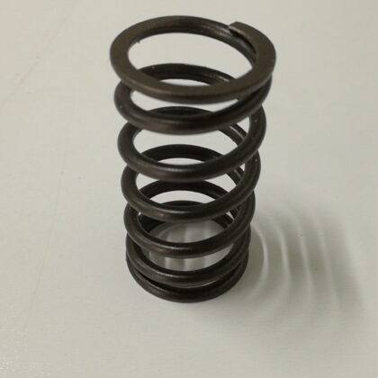 Sprężyna zaworu Valve spring