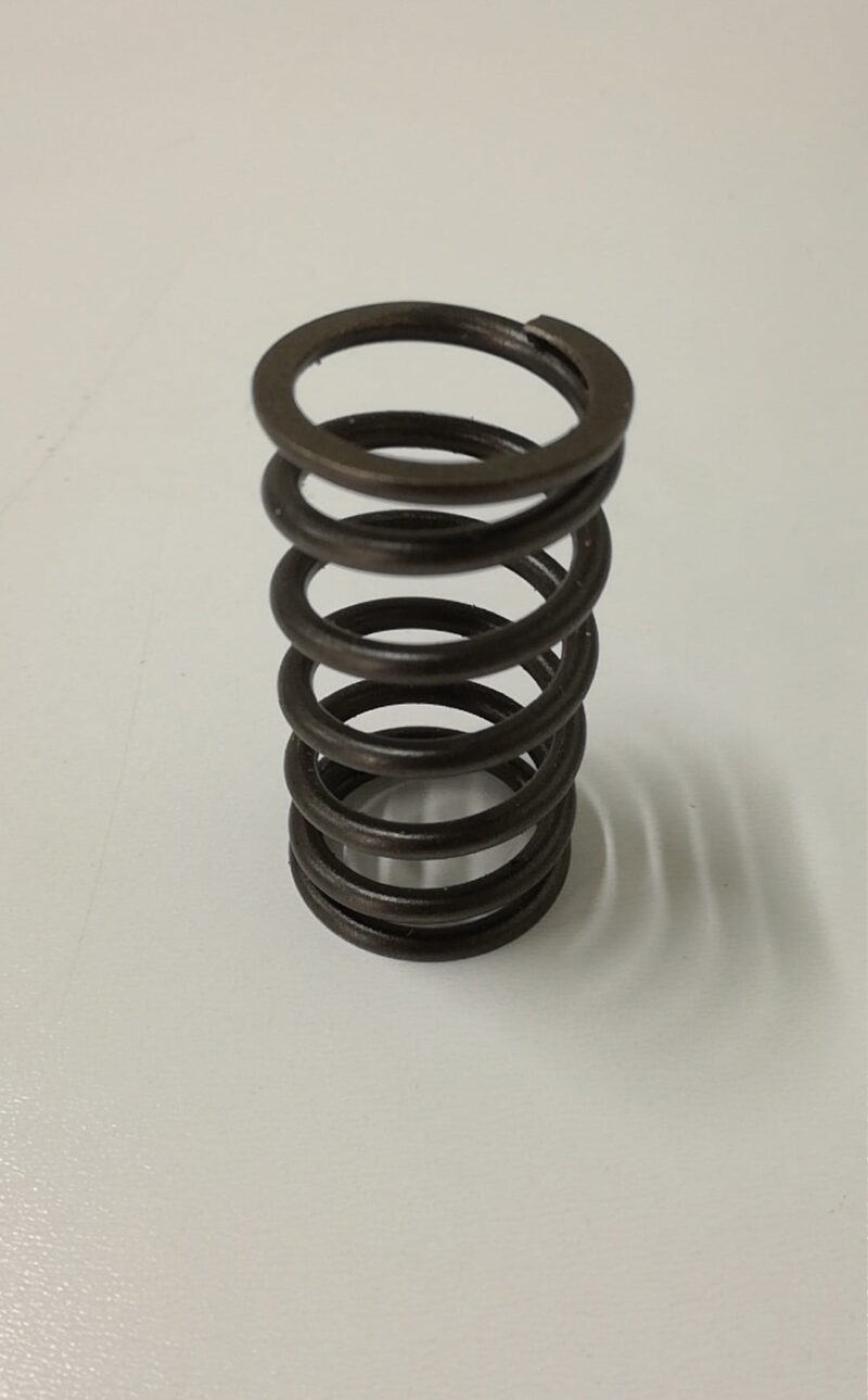 Sprężyna zaworu Valve spring